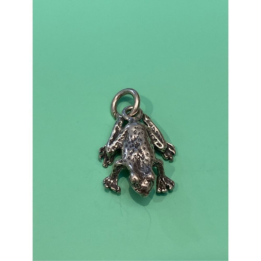 Frog Toad Sterling Silver Jewelry Charm #bugs